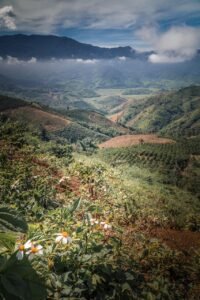 vietnam, farm, vietnam coffee farm, vietnam landscape, terrace, coffee, daknong, hill, landscape, mountain, nature, rice, rice field, road, tadung, vietnam beautiful, coffee farm, vietnam mountains, vietnamese, coffee farm, coffee farm, coffee farm, coffee farm, coffee farm